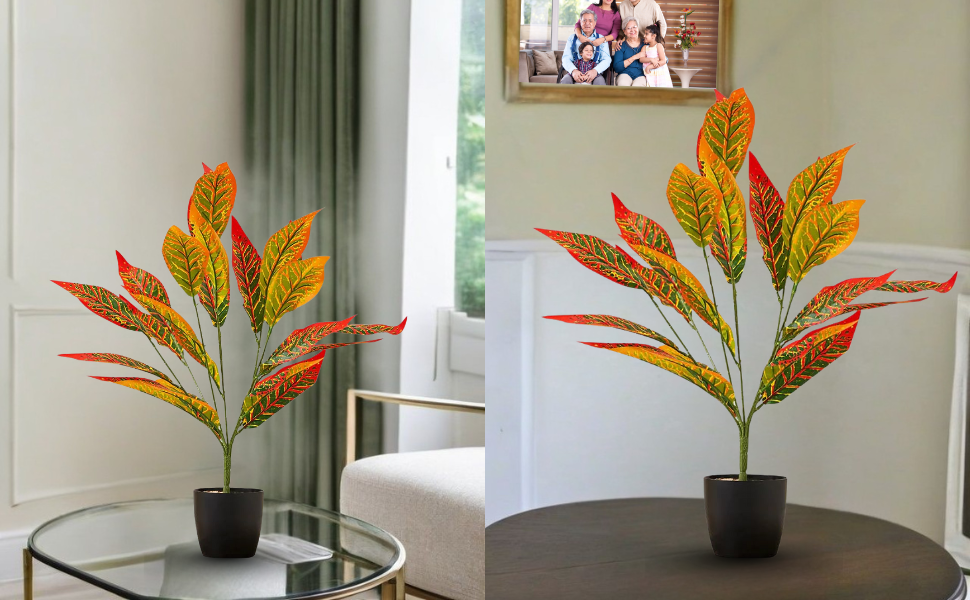 Planters with Personality: Unique Designer Pots to Match Your Home Style