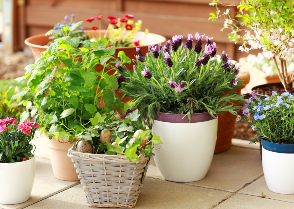 How to Design Your Space with Artificial Plants