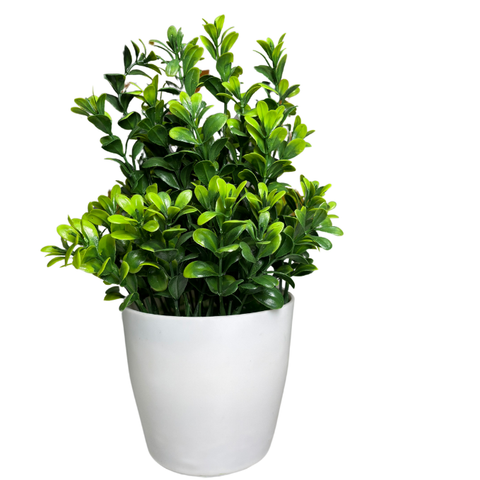 De Gardenia Artificial Rubber Plant – Small Faux Potted Plant for Tabletop, Home, Bathroom & Office Décor | Indoor Decorative Greenery