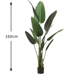 De Gardenia 160cm Artificial Traveller Palm Tree with Pot – 10 Leaves Faux Tropical Indoor Plant for Home & Office Décor