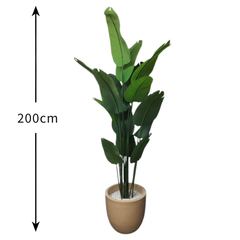 De Gardenia 200cm Artificial Traveller Palm Tree – 15 Leaves Extra Tall Faux Tropical Plant Without Pot for Home, Office & Event Décor