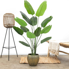 De Gardenia 200cm Artificial Traveller Palm Tree – 15 Leaves Extra Tall Faux Tropical Plant Without Pot for Home, Office & Event Décor