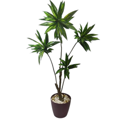 De Gardenia Cordyline Green X4 – 160 cm Tall Artificial Plant | Lifelike Faux Indoor & Outdoor Décor Without Pot
