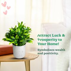 De Gardenia Artificial Rubber Plant – Small Faux Potted Plant for Tabletop, Home, Bathroom & Office Décor | Indoor Decorative Greenery