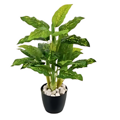 De Gardenia 100CM Real Touch Artificial Dieffenbachia Plant (X5, Without Pot) – Lifelike Tropical Green Plant for Home & Office Décor