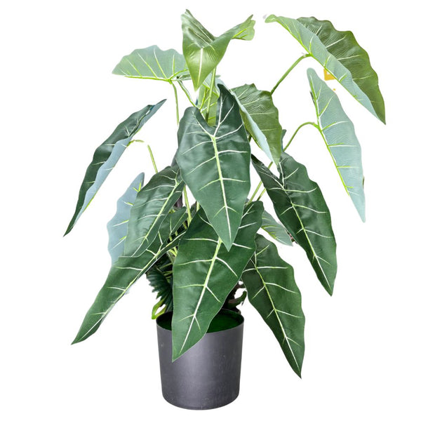 De Gardenia Alocasia Polly Artificial Plant with Pot – 80cm Tall Faux African Mask Plant with Bold Veined Leaves | Indoor Tropical Plant for Home & Office Decor