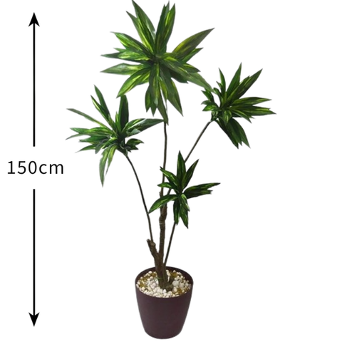 De Gardenia Cordyline Green X4 – 160 cm Tall Artificial Plant | Lifelike Faux Indoor & Outdoor Décor Without Pot