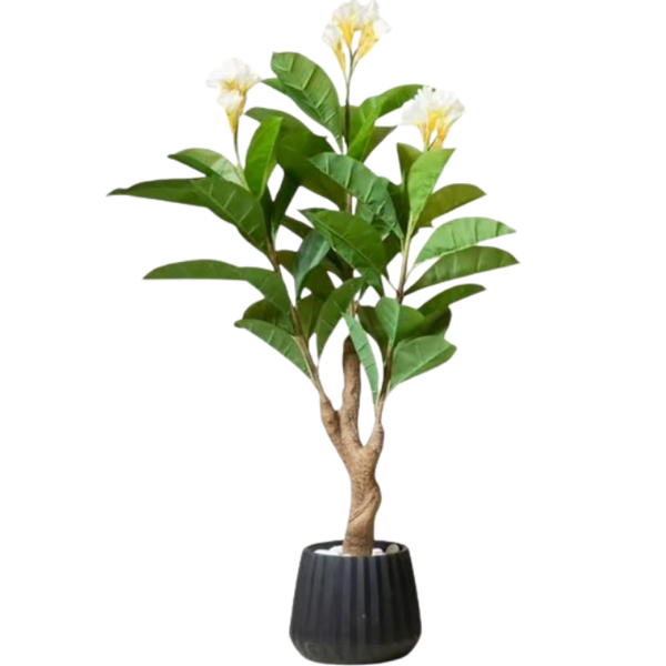 De Gardenia Frangipani X3 – 150 cm Tall Artificial Plant | Lifelike Faux Indoor & Outdoor Décor Without Pot