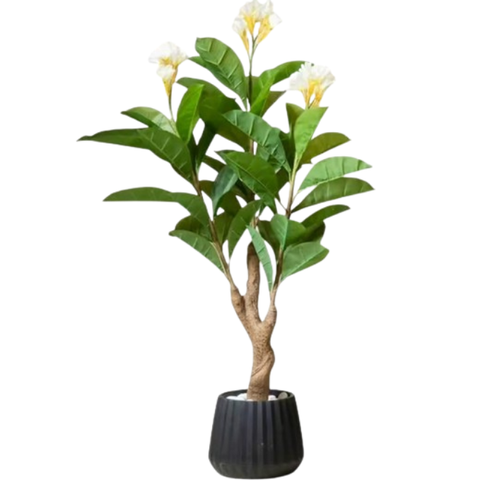 De Gardenia Frangipani X3 – 150 cm Tall Artificial Plant | Lifelike Faux Indoor & Outdoor Décor Without Pot
