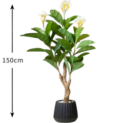 De Gardenia Frangipani X3 – 150 cm Tall Artificial Plant | Lifelike Faux Indoor & Outdoor Décor Without Pot
