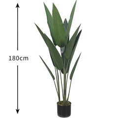De Gardenia 180cm Artificial Bird of Paradise Plant with Pot – Tall Faux Tropical Indoor Tree for Home, Office & Hotel Décor