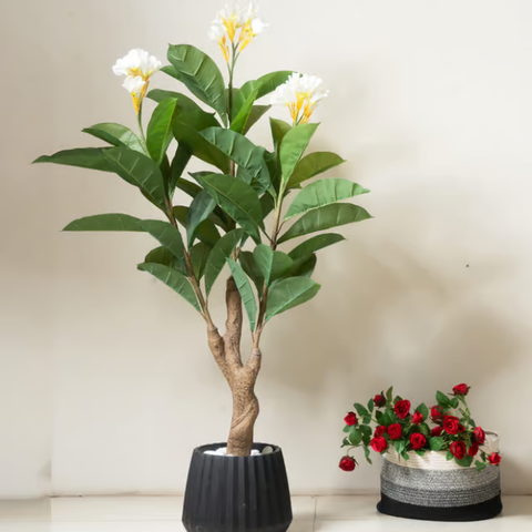 De Gardenia Frangipani X3 – 150 cm Tall Artificial Plant | Lifelike Faux Indoor & Outdoor Décor Without Pot
