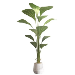 De Gardenia Sumatra Palm – 10 Lush Leaves, 180 cm Tall Artificial Plant | Realistic Faux Indoor & Outdoor Décor Without Pot