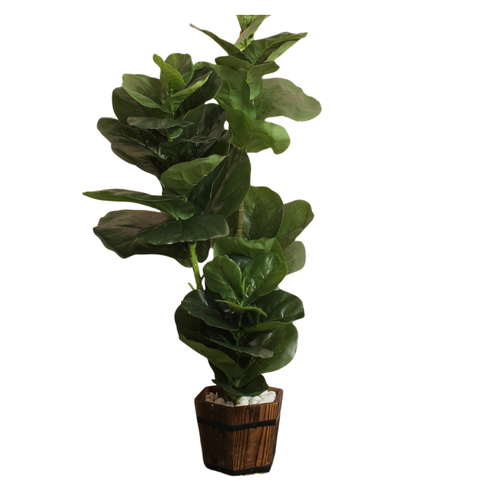 De Gardenia Fiddle X4 – 120 cm Tall Artificial Plant | Lifelike Faux Indoor & Outdoor Décor Without Pot