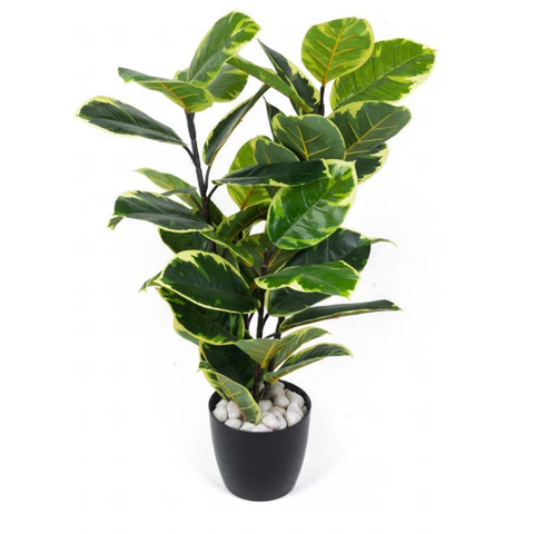 De Gardenia Rubber Plant – 90 cm Tall Artificial Plant | Lifelike Faux Indoor/Outdoor Décor Without Pot
