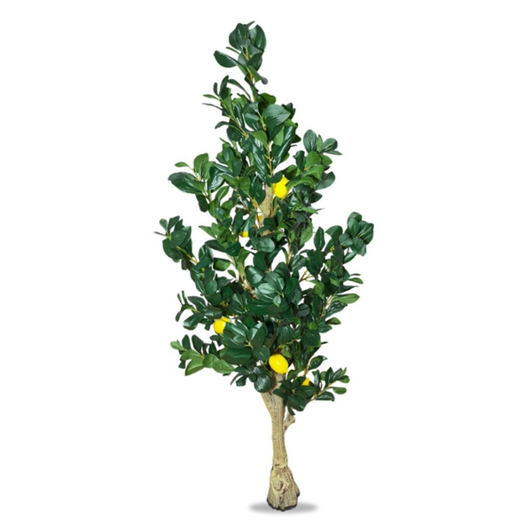 De Gardenia Natural Olive Silk Tree – 5.4 Feet Tall Lifelike Faux Green Olive Plant for Home, Office & Indoor Décor | Realistic Artificial Tree with Slender Trunk & Dense Leaves
