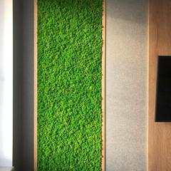 De Gardenia Prefleur Preserved Reindeer Moss – Natural Green DIY Kit | Craft Moss for Gardening, Wedding Decor, Floristry & Wall Art