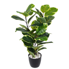 De Gardenia Rubber Plant – 90 cm Tall Artificial Plant | Lifelike Faux Indoor/Outdoor Décor Without Pot