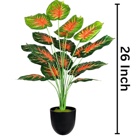 De Gardenia Artificial Money Plant with Pot – 55 cm Tall Green Monstera Leaves | Faux Tropical Indoor Plant for Home & Office Décor