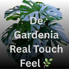 De Gardenia Artificial Money Plant – 78 cm Tall Faux Green Plant with Pot | Lifelike Palm Leaves Monstera for Home, Office & Indoor Decoration