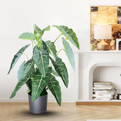 De Gardenia Alocasia Polly Artificial Plant with Pot – 80cm Tall Faux African Mask Plant with Bold Veined Leaves | Indoor Tropical Plant for Home & Office Decor