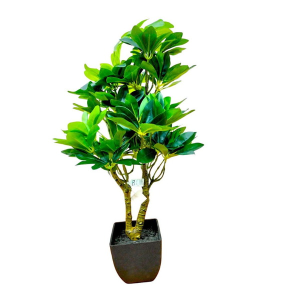 De Gardenia Schefflera Artificial Potted Plant – 24 Inch Tall Faux Green Plant with 250+ Leaves & 2 Branches | Decorative Plastic Pot | Lifelike Indoor Plant for Home & Office Décor