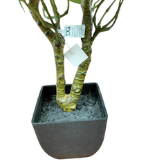 De Gardenia Schefflera Artificial Potted Plant – 24 Inch Tall Faux Green Plant with 250+ Leaves & 2 Branches | Decorative Plastic Pot | Lifelike Indoor Plant for Home & Office Décor