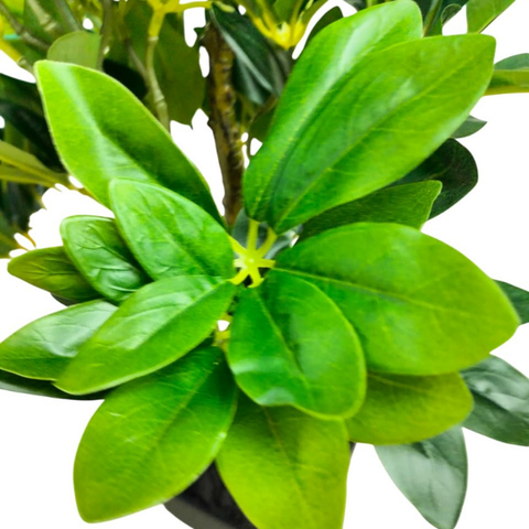 De Gardenia Schefflera Artificial Potted Plant – 24 Inch Tall Faux Green Plant with 250+ Leaves & 2 Branches | Decorative Plastic Pot | Lifelike Indoor Plant for Home & Office Décor