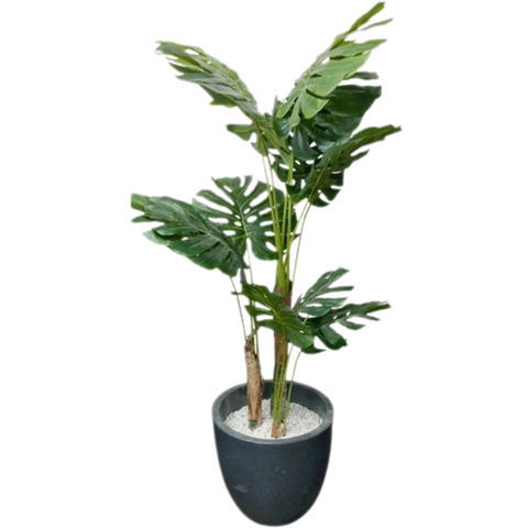 De Gardenia Monstera X12 – 170 cm Tall Artificial Plant Without Pot | Lifelike Faux Tropical Greenery for Home & Office Décor