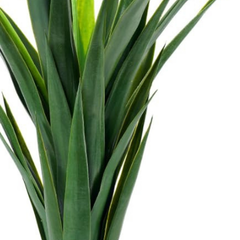 De Gardenia Artificial Yucca Plant – 75 cm Tall Faux Green Plant for Indoor & Outdoor Décor | Lifelike Maintenance-Free Decorative Plant | Pot Not Included