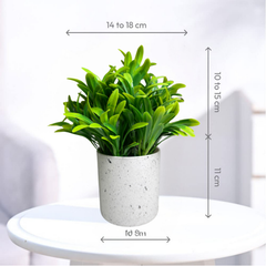 De Gardenia Artificial Rubber Plant – Small Faux Potted Plant for Tabletop, Home, Bathroom & Office Décor | Indoor Decorative Greenery