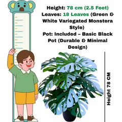 De Gardenia Artificial Money Plant – 78 cm Tall Faux Green Plant with Pot | Lifelike Palm Leaves Monstera for Home, Office & Indoor Decoration