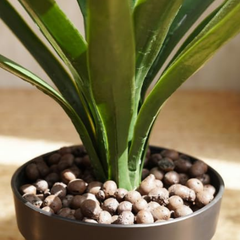 De Gardenia Artificial Yucca Plant – 75 cm Tall Faux Green Plant for Indoor & Outdoor Décor | Lifelike Maintenance-Free Decorative Plant | Pot Not Included