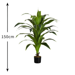 De Gardenia Dracaena White – 150 cm Tall Artificial Plant Without Pot | Lifelike Faux Decorative Greenery for Home & Office