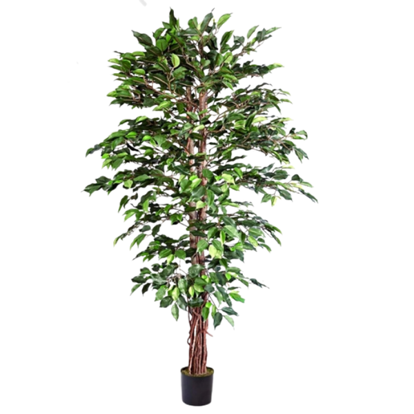 De Gardenia 200cm Artificial Ficus Tree – Extra Tall Lifelike Faux Indoor Plant Without Pot for Home, Office & Event Décor
