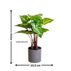 De Gardenia Artificial Philodendron Plant – 40 cm (16") Tall Faux Green Plant with Plastic Pot | Realistic Indoor Decorative Plant for Home & Office Décor