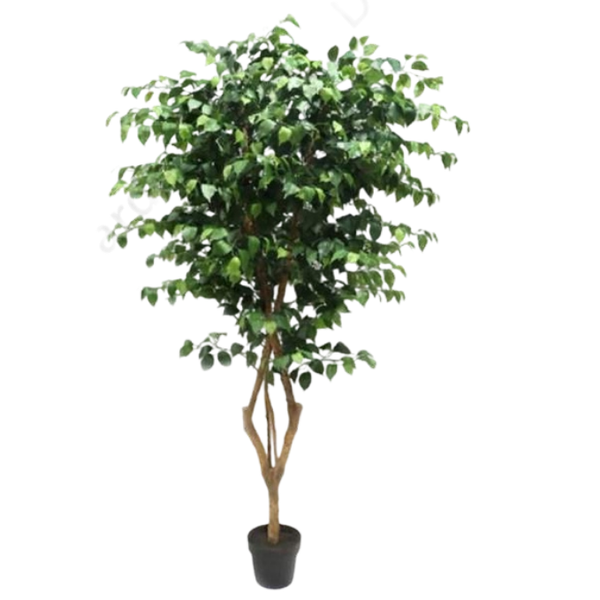 De Gardenia 210cm Artificial Ficus Tree with Pot – Extra Tall Lifelike Faux Indoor Plant for Home, Office & Hotel Décor