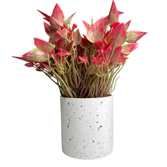 De Gardenia Artificial Rubber Plant – Small Faux Potted Plant for Tabletop, Home, Bathroom & Office Décor | Indoor Decorative Greenery