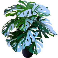 De Gardenia Artificial Money Plant – 78 cm Tall Faux Green Plant with Pot | Lifelike Palm Leaves Monstera for Home, Office & Indoor Decoration