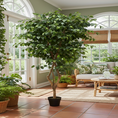 De Gardenia 210cm Artificial Ficus Tree with Pot – Extra Tall Lifelike Faux Indoor Plant for Home, Office & Hotel Décor