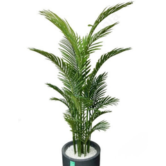 De Gardenia Areca Palm X15 – 160 cm Tall Artificial Plant Without Pot | Extra-Full Faux Tropical Greenery for Home, Office & Event Décor