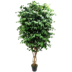 De Gardenia 300cm Artificial Ficus Tree with Pot – Giant 10ft Lifelike Faux Indoor Tree for Homes, Hotels, Offices & Event Décor