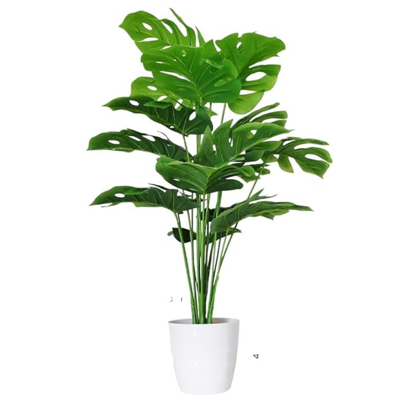 De Gardenia Artificial Money Plant – 55 cm Tall Faux Green Ornamental Plant with White Pot | Indoor Palm Leaf Monstera for Home & Office Decor