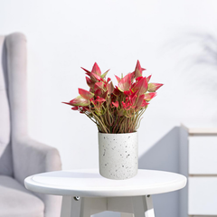 De Gardenia Artificial Rubber Plant – Small Faux Potted Plant for Tabletop, Home, Bathroom & Office Décor | Indoor Decorative Greenery