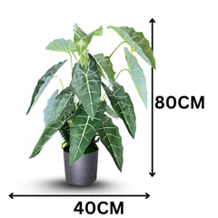 De Gardenia Alocasia Polly Artificial Plant with Pot – 80cm Tall Faux African Mask Plant with Bold Veined Leaves | Indoor Tropical Plant for Home & Office Decor