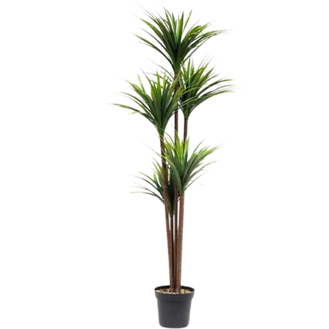 De Gardenia Yucca Plant X5 – 180 cm Tall Artificial Plant | Lifelike Faux Tropical Greenery for Home & Office Décor