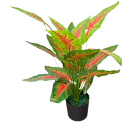 De Gardenia Aglonema X18 – 65 cm Tall Artificial Plant | Lifelike Faux Indoor & Outdoor Décor