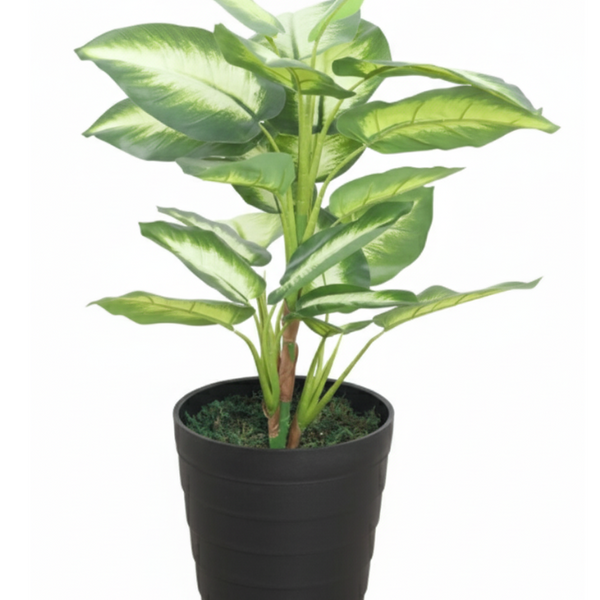 De Gardenia Real Touch Dieffenbachia Artificial Plant (Without Pot) – Lifelike Decorative Green Plant for Home & Office Décor