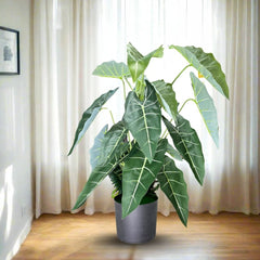 De Gardenia Alocasia Polly Artificial Plant with Pot – 80cm Tall Faux African Mask Plant with Bold Veined Leaves | Indoor Tropical Plant for Home & Office Decor