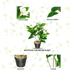 De Gardenia Artificial Magnolia Plant – 18 cm Tall Faux White Flower Plant with Black Pot | Tabletop Decorative Plant for Home & Office Décor